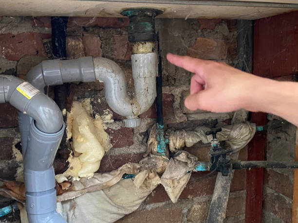 Best Flood restoration services  in River Falls, WI